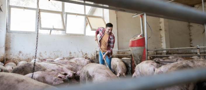Pig Pen Cleaner Chemical | Eco-Friendly | pH Neutral | EN141476